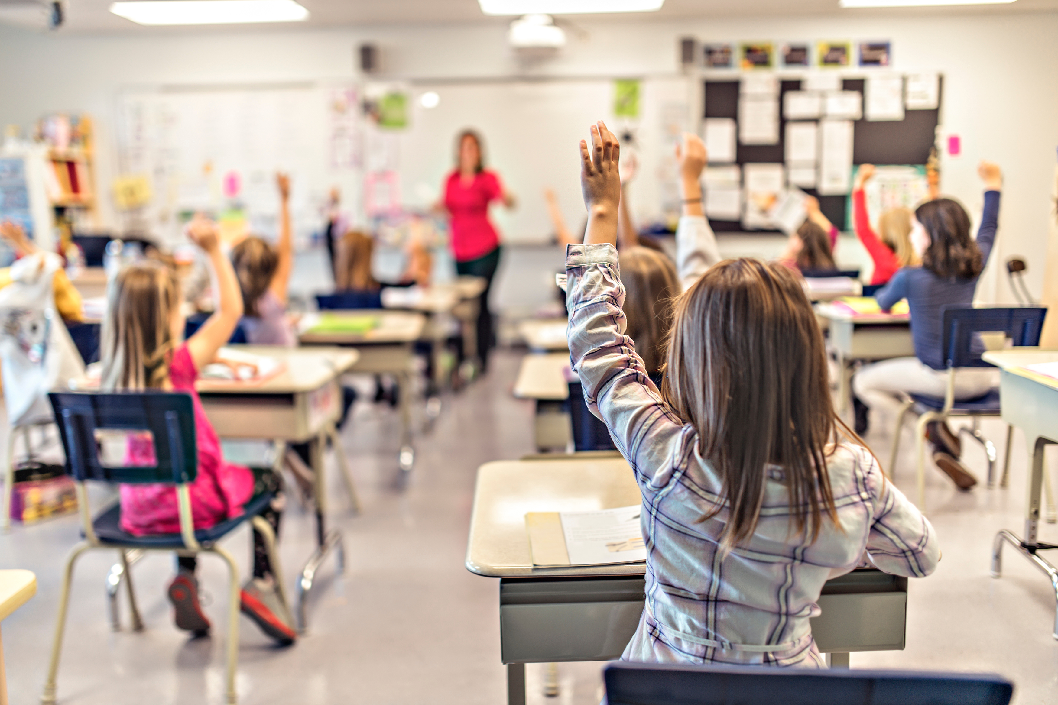 A classroom of students.